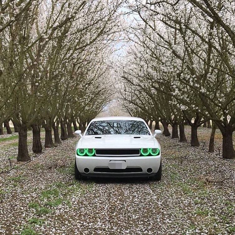 ORACLE Lighting 2008-2014 Dodge Challenger LED Headlight Halo Kit - Standard Mount - Image 23